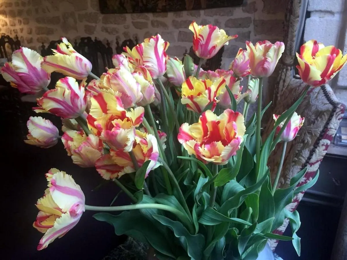 Hotel Boutique De La Place Des Vosges