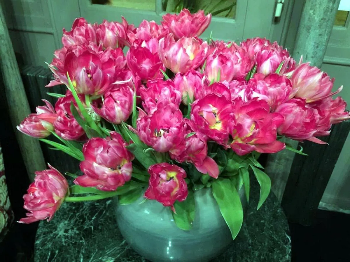 Boutique De La Place Des Vosges Hotel