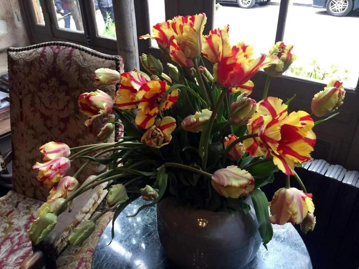 Ξενοδοχείο Boutique De La Place Des Vosges Παρίσι