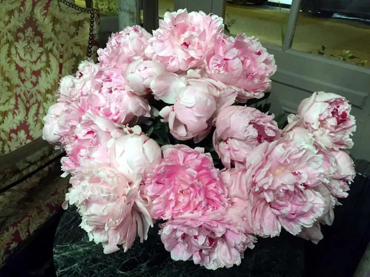 Ξενοδοχείο Boutique De La Place Des Vosges 3*