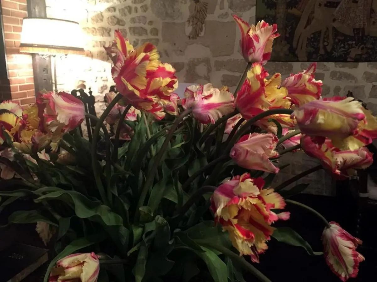 Ξενοδοχείο Boutique De La Place Des Vosges 3*