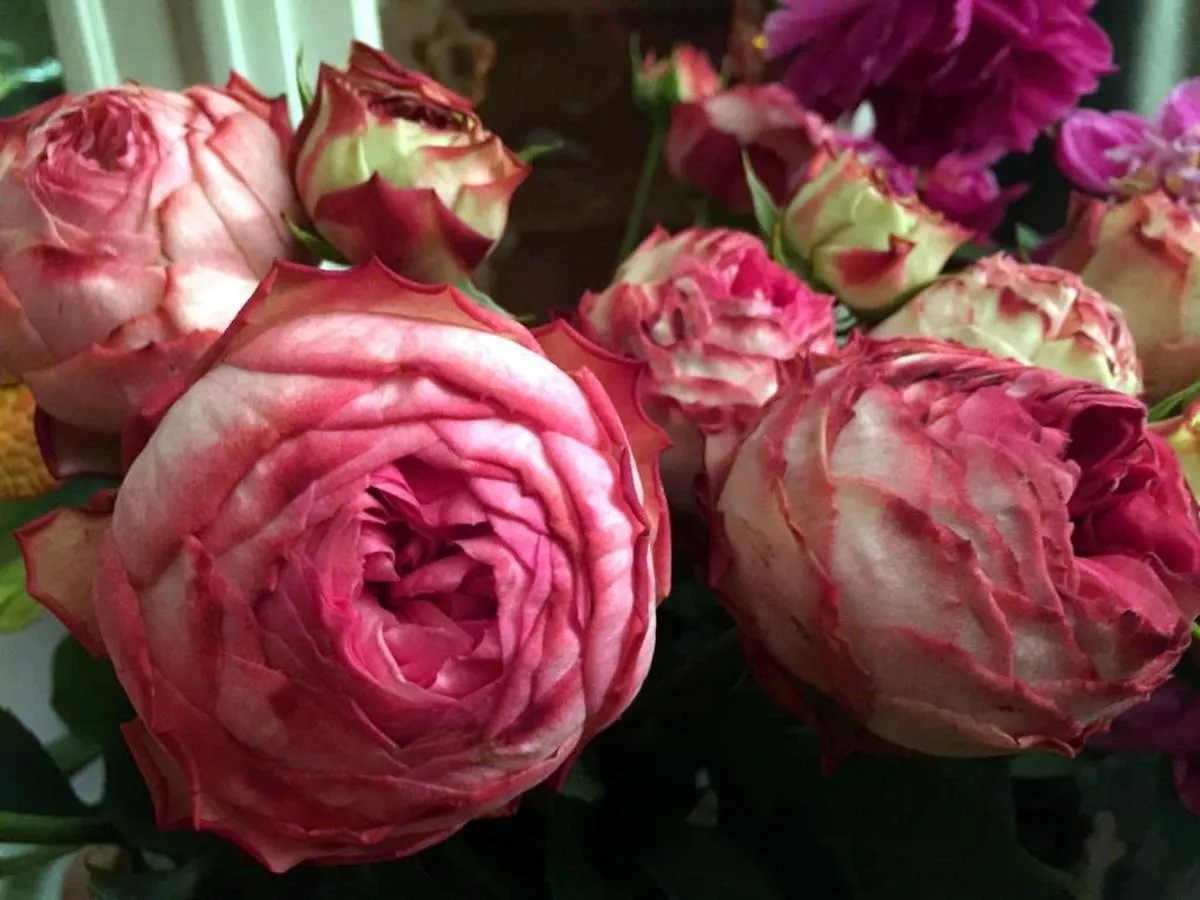 Boutique De La Place Des Vosges 3* Παρίσι
