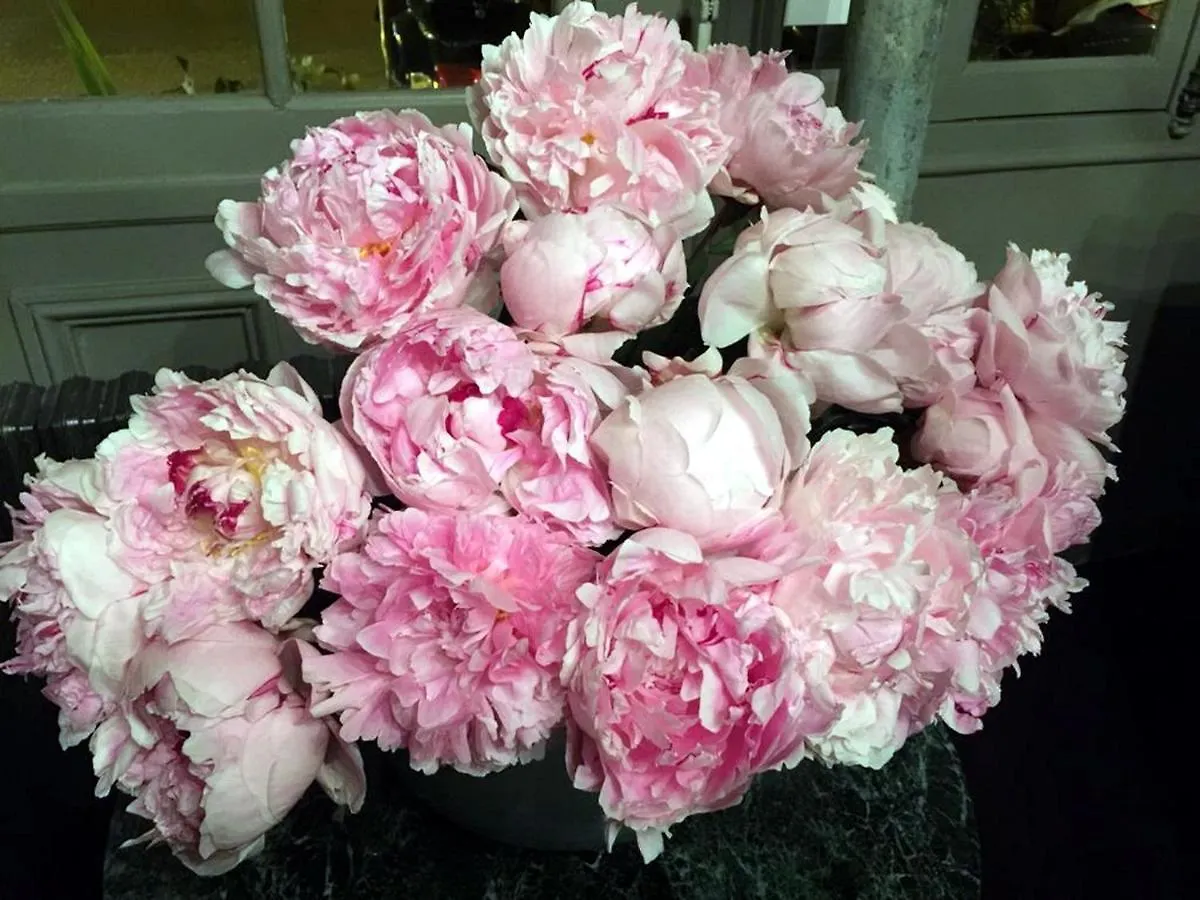 Ξενοδοχείο Boutique De La Place Des Vosges 3*